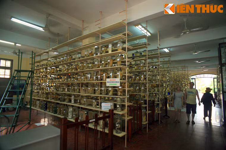 Viện được thành lập năm 1922 thời Pháp thuộc, là một trong những cơ sở nghiên cứu khoa học được ra đời sớm nhất ở Việt Nam.