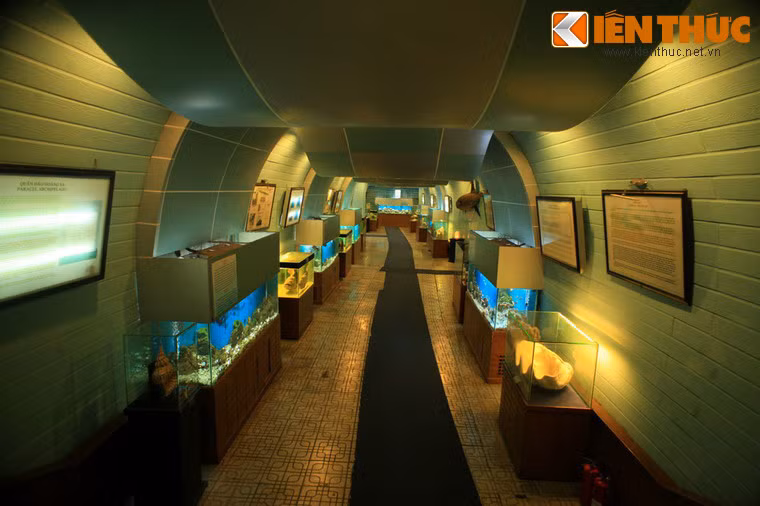 Hệ thống trưng bày phong phú này nhắc nhở mọi người hãy nâng cao ý thức bảo vệ cảnh quan môi trường, nguồn lợi vì lợi ích của con cháu mai sau.