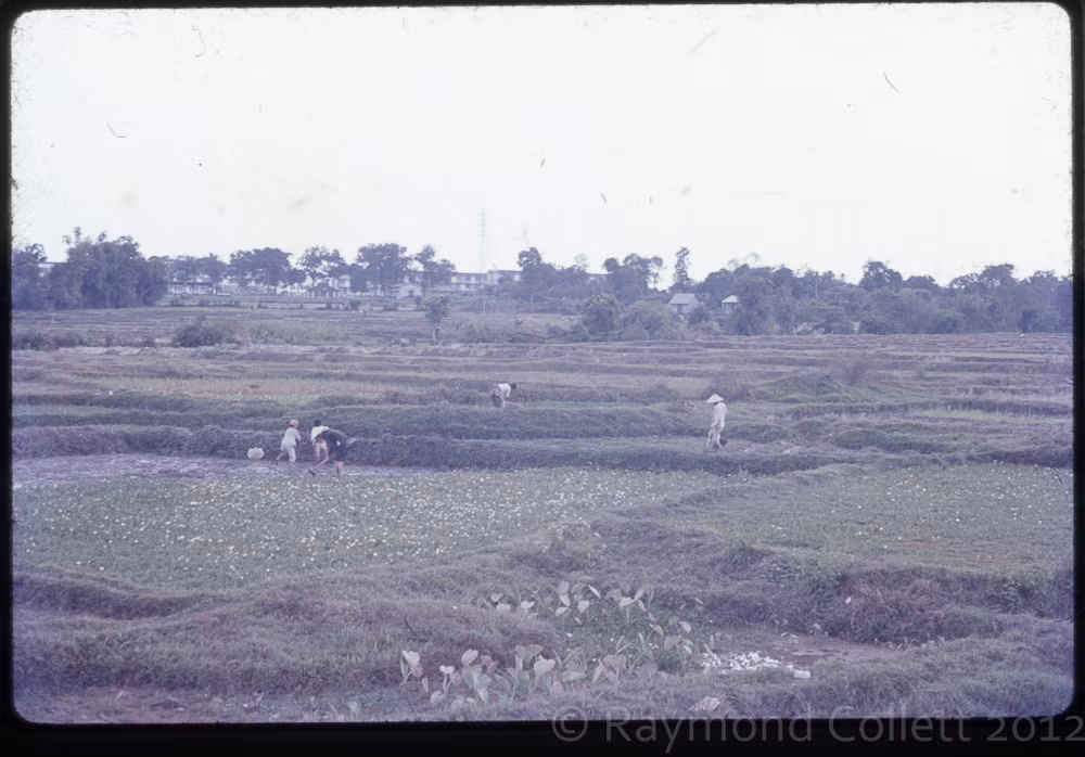 Khung cảnh ngoại ô Sài Gòn.