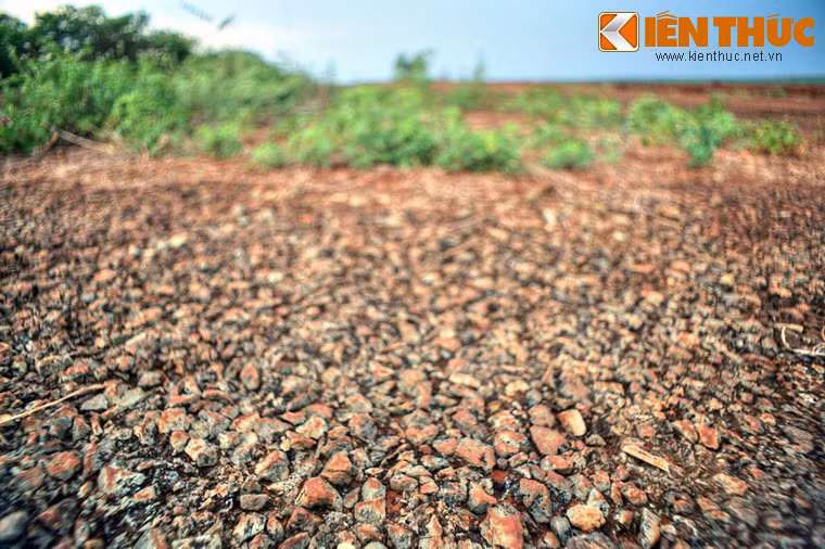 Trong các ngày 12/2/1973 và 12/9/1973, sân bay Lộc Ninh là nơi quân ta đón đoàn Uỷ ban quốc tế về làm việc cũng như các vị đại sứ, trưởng phó đoàn của Ủy ban quốc tế về thăm Lộc Ninh.