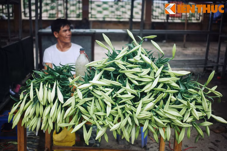 Thậy bất ngờ, khi dò hỏi về Jack, gã biết rằng người phụ nữ ấy chính là Lily, người đang mòn mỏi mong chờ ngày về của Jack. Thương cảm cho hoàn cảnh của Lily, tên tướng cướp quyết định không nói lên sự thật xấu xa về Jack. Gã nói rằng Jack đã hy sinh trong chiến trận, rằng Jack chiến đấu dũng cảm và rất yêu Lily, luôn nhắc đến bà...