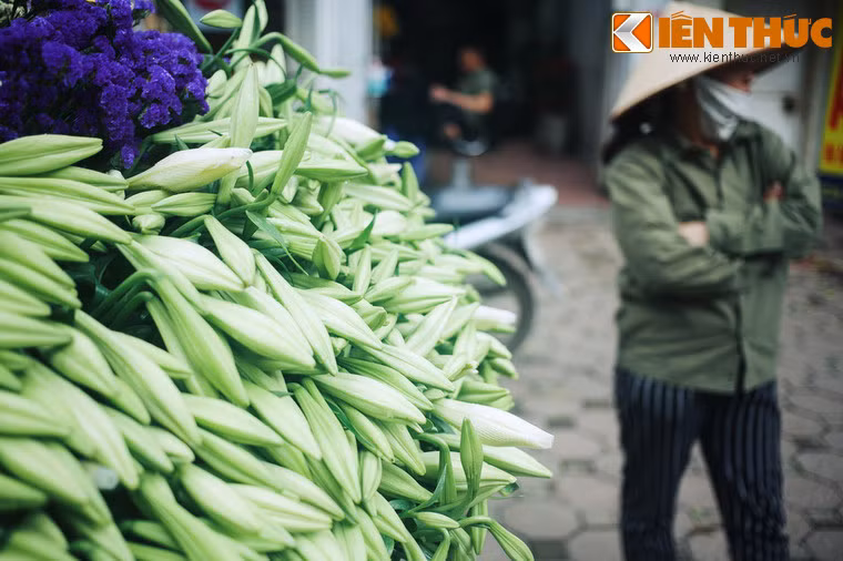 Lily cất trái tim người yêu vào chiếc hộp quý bằng bạc rất đẹp. Ngày nào cô cũng ngồi bên nó và chờ người yêu trở về. Cô chờ đợi như vậy đến 20 năm, và ngày càng trở nên tuyệt vọng.