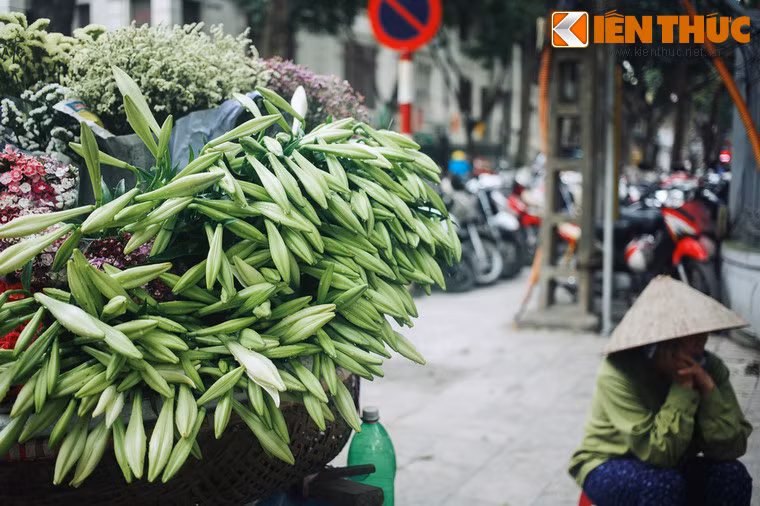 Một hộm, Jack đuổi thủ lĩnh toán cướp, người đã cưu mang mình nhiều năm trời đi để nắm quyền chỉ huy. Gã thủ lĩnh rất uất ức nên quyết định tìm về quê Jack để nói cho người dân biết về con ngươi vô ơn ấy. Tại nơi đây, người đầu tiên gã găp là một người phụ nữ trung niên với nét mặt u sầu.