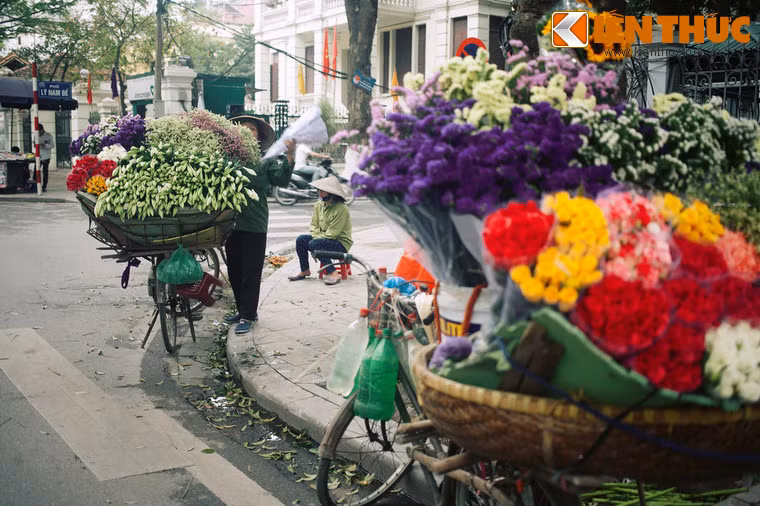 Lily không biết một thực tế đau đớn rằng kể từ không còn trái tim, Jack đã dần dần trở thành một kẻ vô cảm, chỉ quen đánh nhau, chém giết. Chiến tranh kết thúc, chàng tham gia vào một băng cướp.