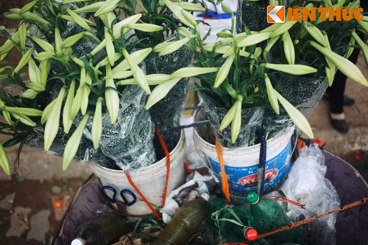 Bất chợt, thủ lĩnh toán cướp giật mình và mở chiếc hộp ra. Hắn sững sờ và choáng váng khi nhận ra trái tim của chính mình. Trái tim bỗng cất lời: Hãy đừng nói sự thật với Lily, điều đó chỉ khiến bà đau khổ hơn. Hãy để Lily tưởng rằng ngươi đã hi sinh anh dũng trong chiến đấu.