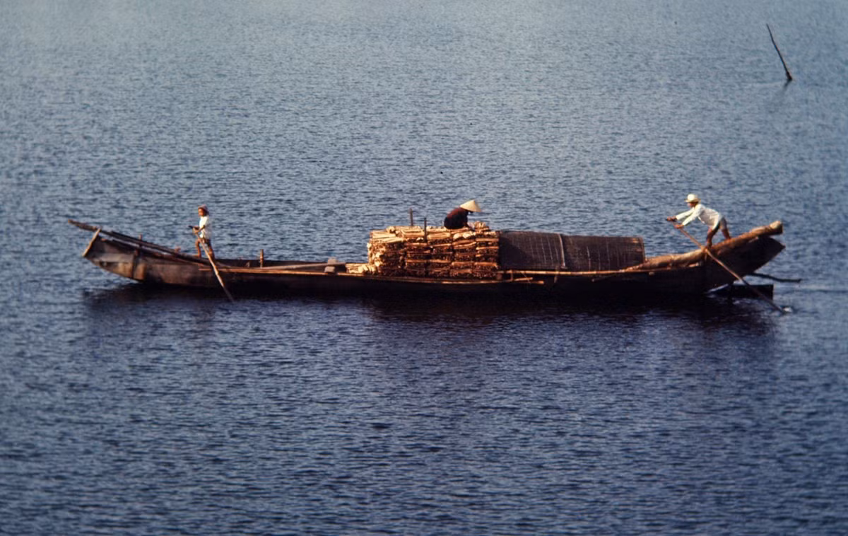 Thuyền chở củi trên sông Hương.