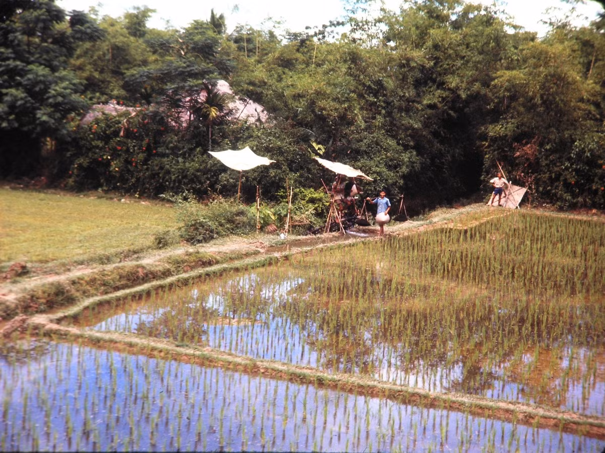 Ruộng đồng và vườn tược ở ngoại ô của Huế.