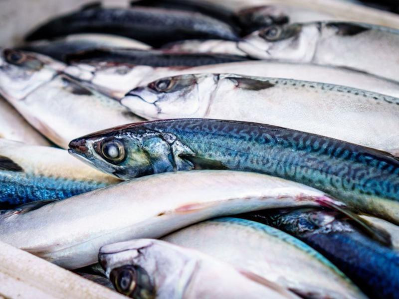 Đây là một trong những loại cá bổ nhất chuyên gia khuyên bạn nên ăn hàng ngày. Bởi loại cá này không chỉ cung cấp cho bạn một lượng lớn canxi, mà còn bổ sung thêm cho cơ thể một lượng dồi dào omega-3 và vitamin D. 