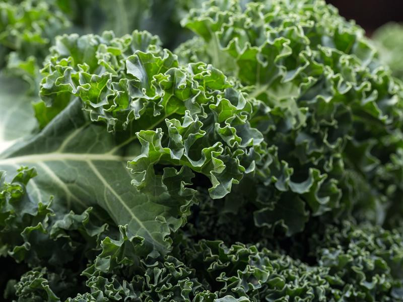 Cải xoăn là nguồn cung cấp canxi tuyệt vời và còn chứa các chất chống oxy hóa mà bạn không nên bỏ qua. Bạn có thể thêm vào món salad của bạn một chút rau cải xoăn để làm bữa ăn thêm đậm đà và giúp bạn đạt chiều cao như mong muốn. 