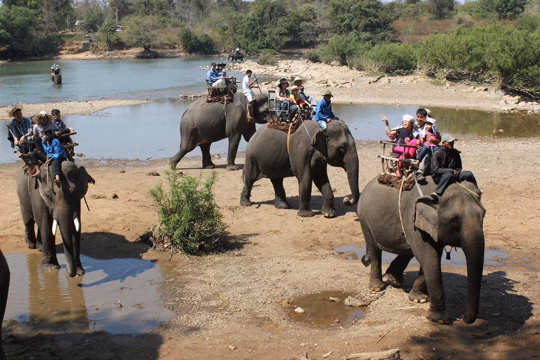 Voi nha quat chet nguoi: So VHTT & DL Dak Lak ly giai nguyen nhan-Hinh-2