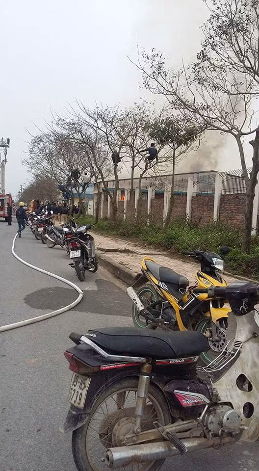 Bất chấp việc có thể bị ngã hoặc bị đám cháy gây ra tác động đến sức khoẻ và tính mạng, những người dân này vẫn liễu mạng trèo cao... chỉ để "hóng cháy", không hè góp công, sức vào việc kiểm soát đám cháy. Những hình ảnh này được lan truyền trên mạng xã hội và gây bức xúc cho nhiều người. Ảnh: Anh Tuấn.