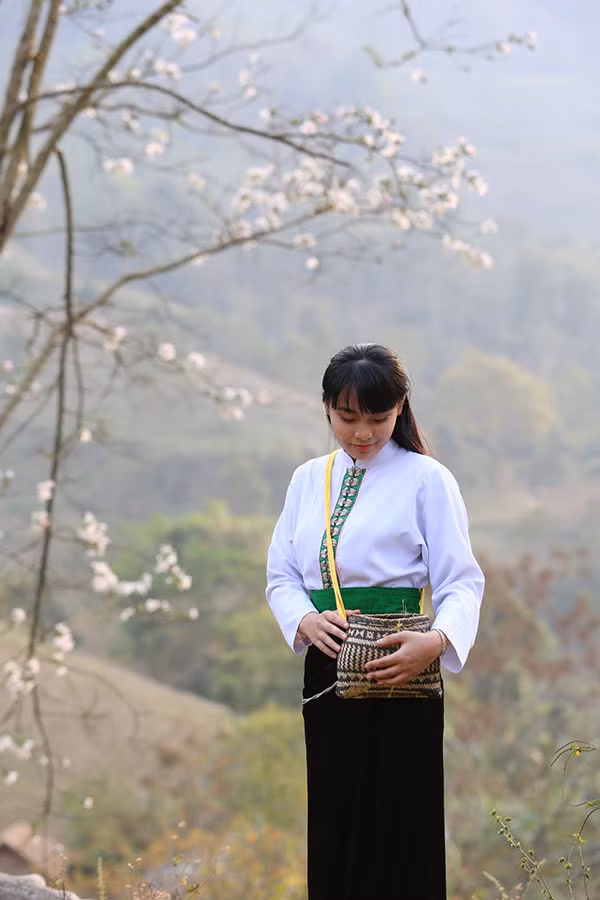 Thiếu nữ Thái xinh đẹp, e ấp trong bộ trang phục dân tộc khoe sắc bên hoa ban.