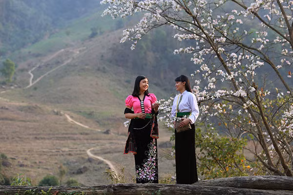 Thieu nu Thai e ap ben hoa ban rung thang 3