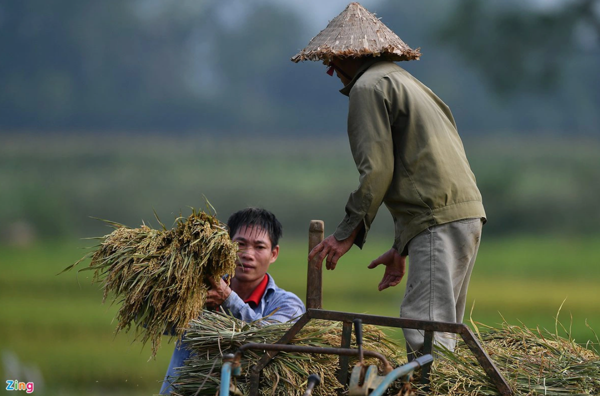  Hơn 1.600 câu hỏi, đề xuất, kiến nghị của nông dân gửi đến Thủ tướng: “Tiếp sức, hỗ trợ nông dân; thực hiện tầm nhìn phát triển nông nghiệp, nông thôn bền vững” là chủ đề Hội nghị đối thoại giữa Thủ tướng Phạm Minh Chính với nông dân Việt Nam, diễn ra vào 29/5. Tính đến nay, đã có hơn 1.600 câu hỏi, đề xuất, kiến nghị được gửi tới Thủ tướng Chính phủ. (Nguồn: VOV.VN)