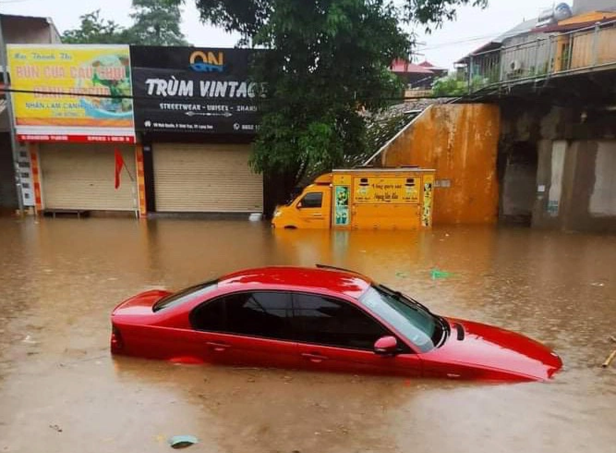 Ô tô nổi lềnh bềnh trên phố. (Ảnh: FB)