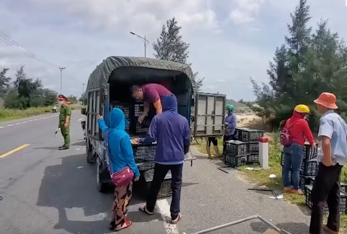 Nguoi dan va CSGT giai cuu xe cho hon 30 tan xoai bi lat-Hinh-6