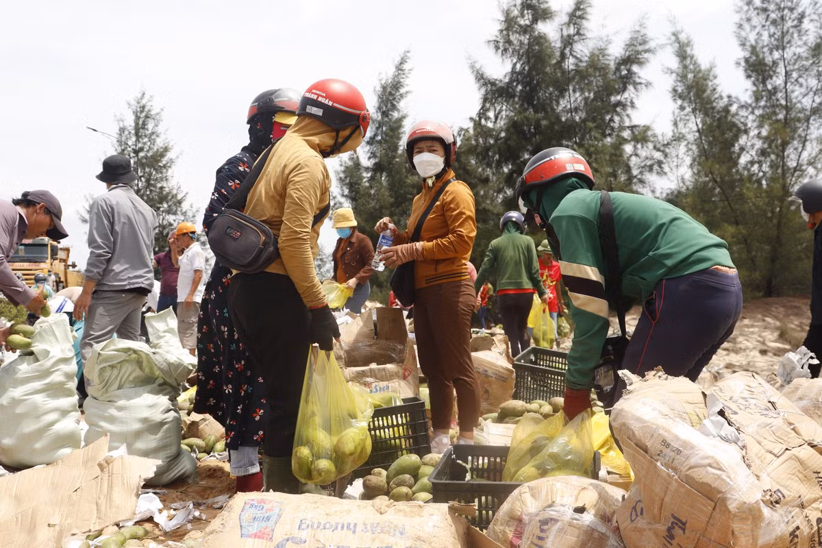 Nguoi dan va CSGT giai cuu xe cho hon 30 tan xoai bi lat-Hinh-8