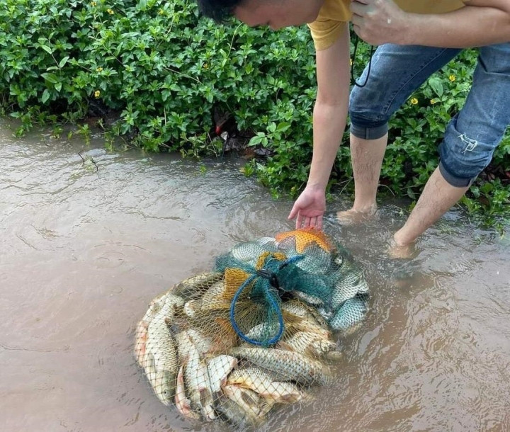 "Chiến lợi phẩm" thu hoạch được trong trận mưa ngập lịch sử này. (Ảnh: Facebook)