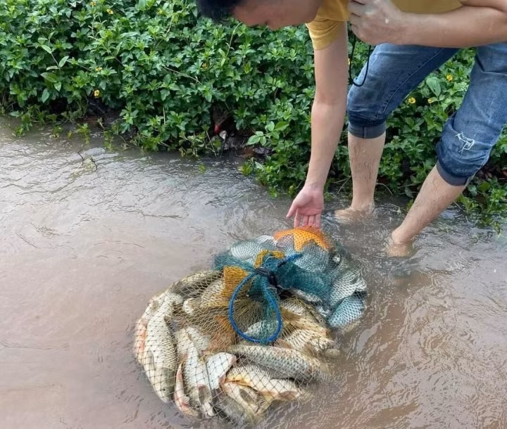 "Chiến lợi phẩm" thu hoạch được trong trận mưa ngập lịch sử này. (Ảnh: Facebook)