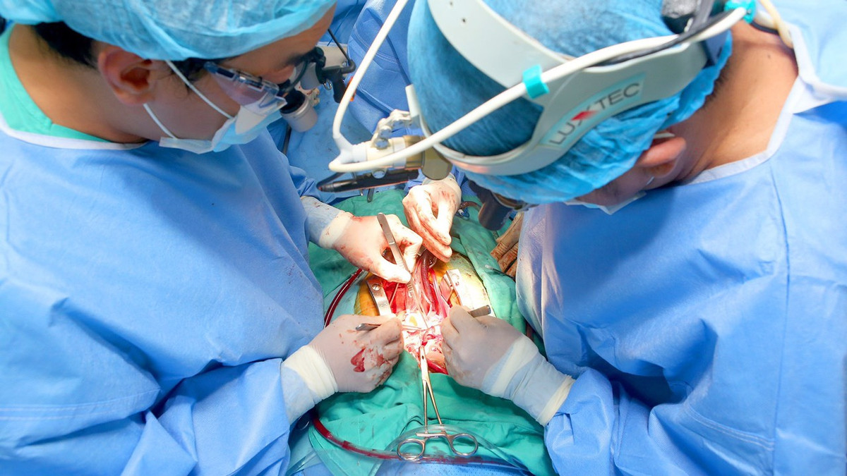 Diệu kỳ: Thực hiện thành công ca ghép tim xuyên Việt - Hình 2 Dieu ky: Thuc hien thanh cong ca ghep tim xuyen Viet-Hinh-2
