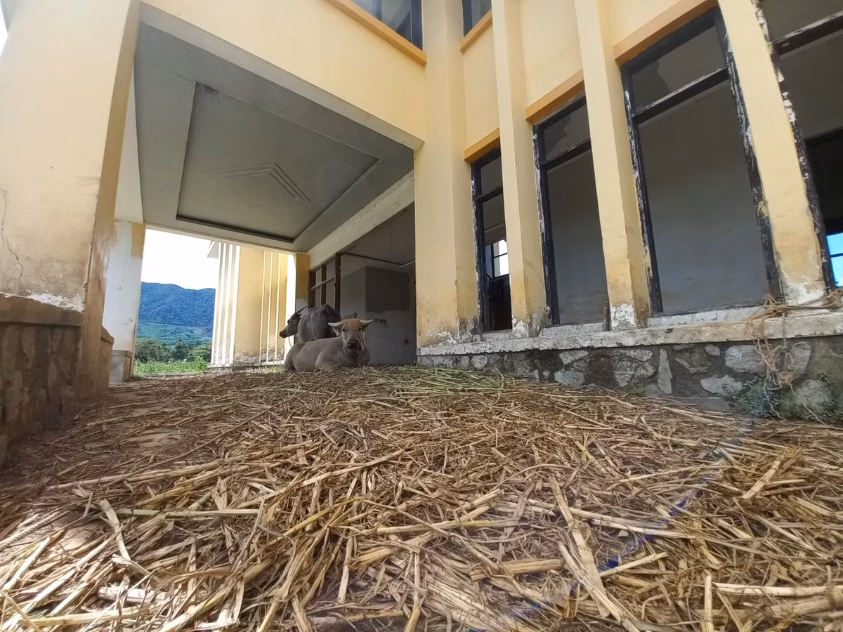Xót xa dự án hơn 4000 tỷ đồng thành “công viên” chăn thả trâu bò - Hình 3 Xot xa du an hon 4000 ty dong thanh “cong vien” chan tha trau bo-Hinh-3