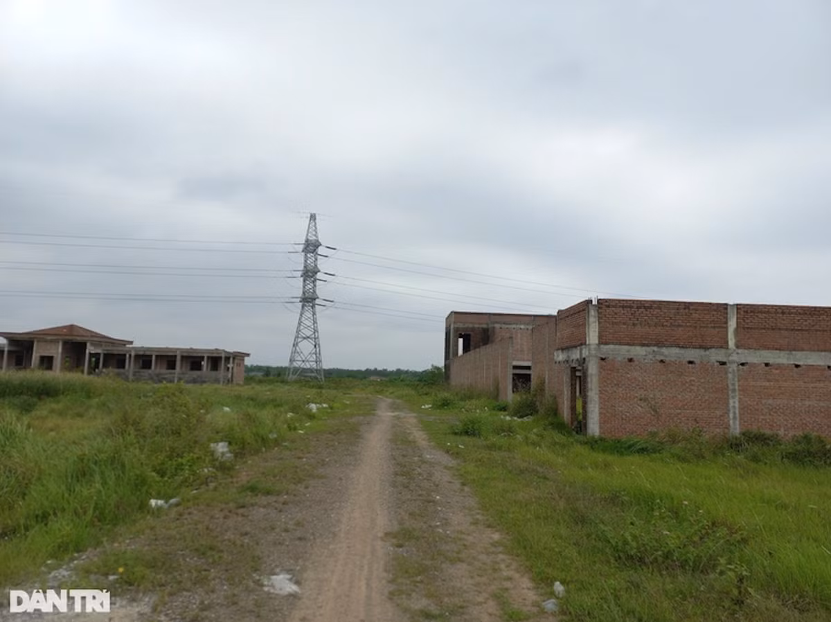 Can canh du an truong ban hon 250 ty dong bi bo hoang o Hai Phong