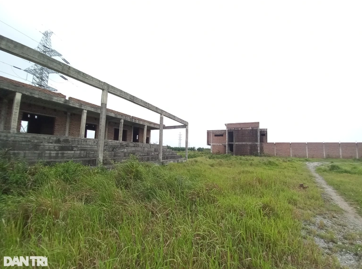 Can canh du an truong ban hon 250 ty dong bi bo hoang o Hai Phong-Hinh-11