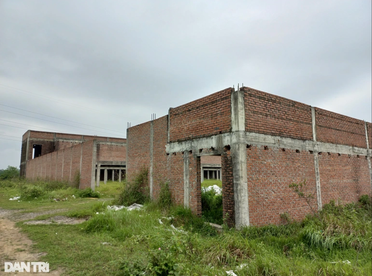 Can canh du an truong ban hon 250 ty dong bi bo hoang o Hai Phong-Hinh-2
