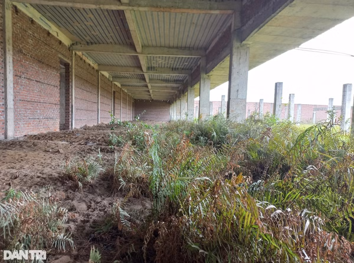 Theo báo cáo của Sở Kế hoạch và Đầu tư TP Hải Phòng, trong tổng số 18 gói thầu đã được xác định, hiện mới có 7 gói thầu đã thực hiện xong, 5 gói thầu thực hiện dang dở và 6 gói thầu chưa thể thực hiện, khối lượng công việc mới đạt khoảng 18% tổng lượng dự án.