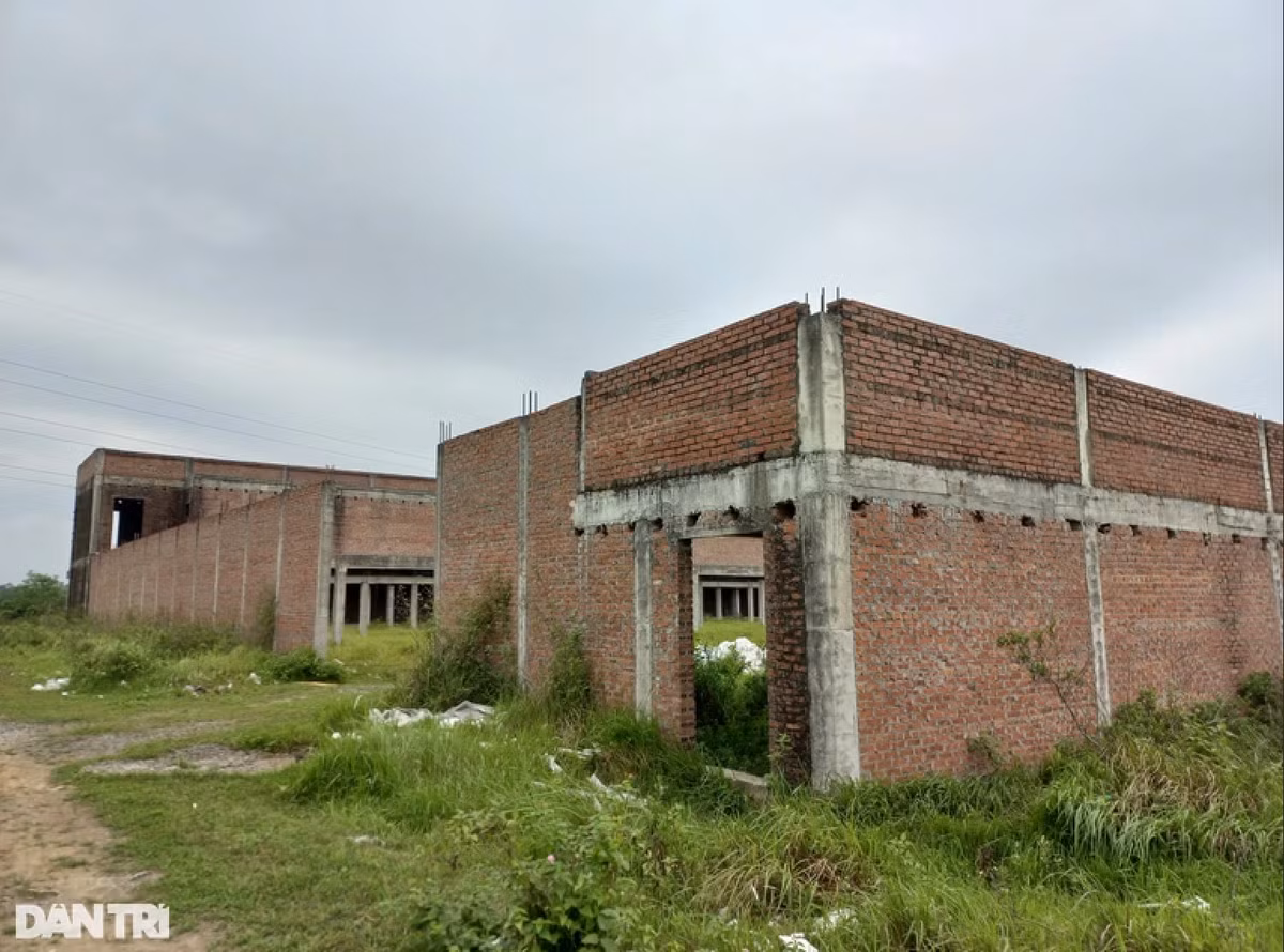 Can canh du an truong ban hon 250 ty dong bi bo hoang o Hai Phong-Hinh-2