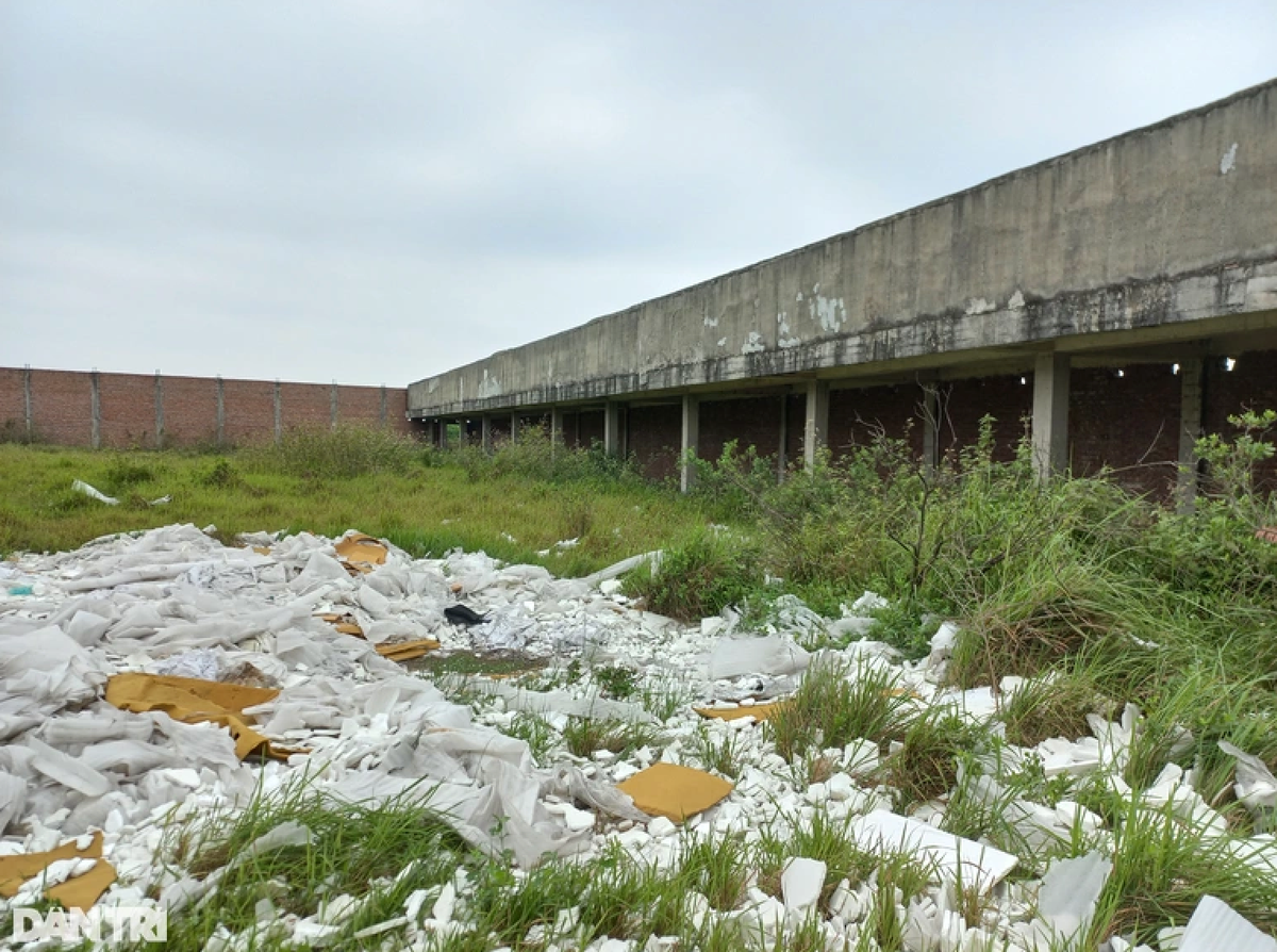 Can canh du an truong ban hon 250 ty dong bi bo hoang o Hai Phong-Hinh-3