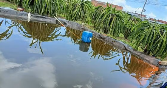  Hai em nhỏ chết đuối ở ao nước tưới thanh long: Chiều 1/5, cha mẹ của 2 cháu N.T.T.V. (6 tuổi) và N.G.H. (5 tuổi, đều ngụ tại xã Tân Thuận (huyện Hàm Thuận Nam) ra vườn để làm thanh long. Lúc này, do ở gần nhà nhau, cháu V. và H. đã rủ nhau ra ao chứa nước chơi và bị trượt chân xuống ao chết đuối. (Ảnh: FB)