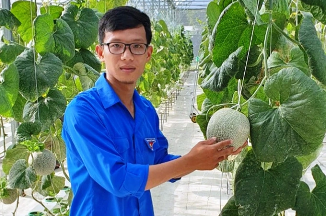 Trong dua luoi thuy canh thu lai hang tram trieu dong/nam-Hinh-2