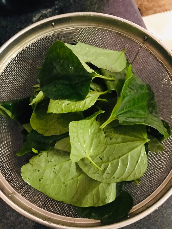 Loai la moc o bo rao nau voi ca be be thanh thuoc quy