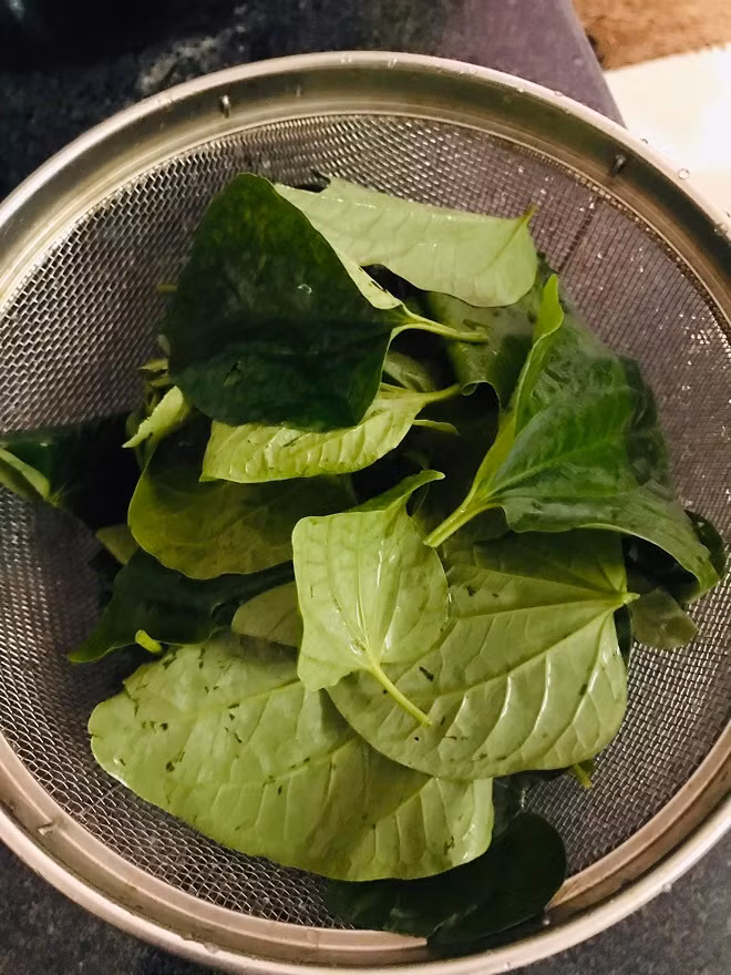 Loai la moc o bo rao nau voi ca be be thanh thuoc quy