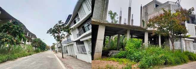 KDT moi Nam duong 32, mong nha tien ty de phi… trong rau-Hinh-2