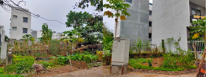 KDT moi Nam duong 32, mong nha tien ty de phi… trong rau-Hinh-15