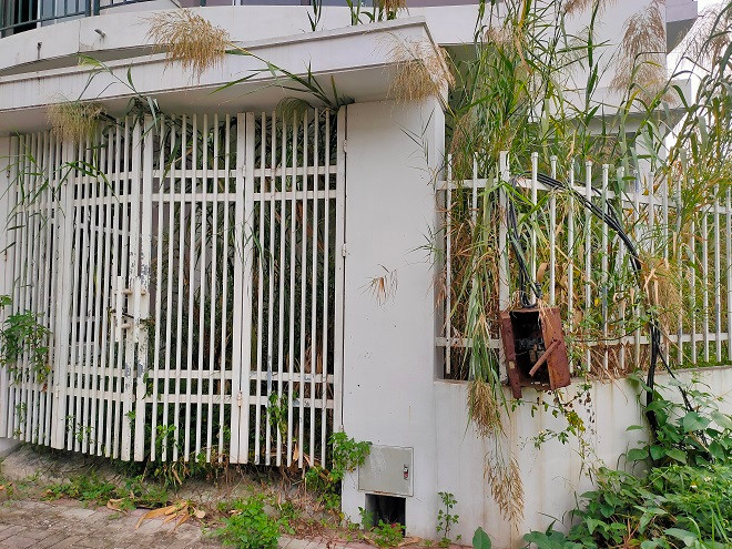 KDT moi Nam duong 32, mong nha tien ty de phi… trong rau-Hinh-8