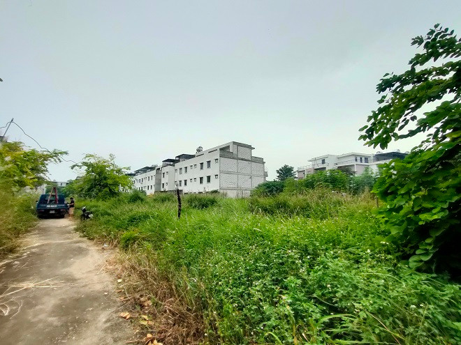 KDT moi Nam duong 32, mong nha tien ty de phi… trong rau-Hinh-5