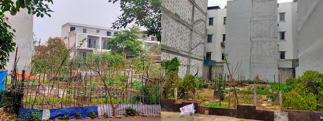 KDT moi Nam duong 32, mong nha tien ty de phi… trong rau-Hinh-14