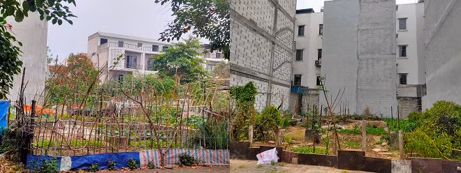 KĐT mới Nam đường 32, móng nhà tiền tỷ để phí… trồng rau - Hình 14 KDT moi Nam duong 32, mong nha tien ty de phi… trong rau-Hinh-14