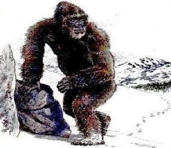 Tiến sĩ Charlotte Lindqvist, tác giả nghiên cứu nói: "Nghiên cứu của chúng tôi cho thấy những bằng chứng sinh học của Yeti đều thuộc về những con gấu trong khu vực. Nghiên cứu cũng chứng minh rằng công nghệ gene sẽ làm sáng tỏ những bí ẩn tương tự”.