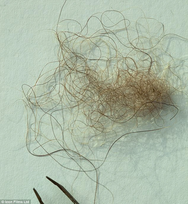 Mới đây, một nhóm các nhà nghiên cứu tại Đại học Buffalo, Mỹ, đã phân tích mẫu ADN từ 9 mẫu vật nổi tiếng nhất của Yeti.