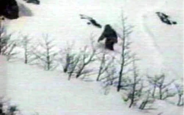 Tuy nhiên, nghiên cứu lại cho thấy, cuộc truy tìm sinh vật bí ẩn Yeti trở về con số 0, vì không có một bằng chứng nào thực sự xác thực.