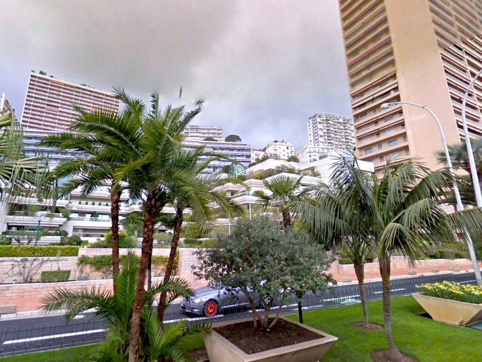 Monaco sở hữu Avenue Princesse Grace - một trong những con phố đắt đỏ nhất thế giới. Năm 2008, trang Wealth Bullletin còn xếp Avenue Princesse Grace là con phố đắt nhất thế giới.