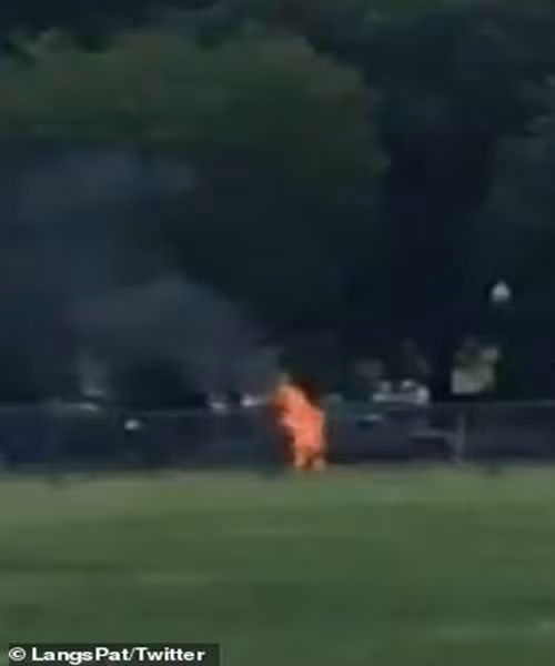 Kinh hoang canh nguoi dan ong tu thieu gan Nha Trang-Hinh-5