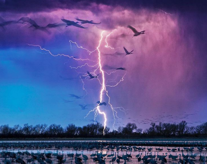 Nhìn vào bức ảnh này, người xem chắc hẳn sẽ liên tưởng ngay đến cảnh trong một bộ phim kinh dị.