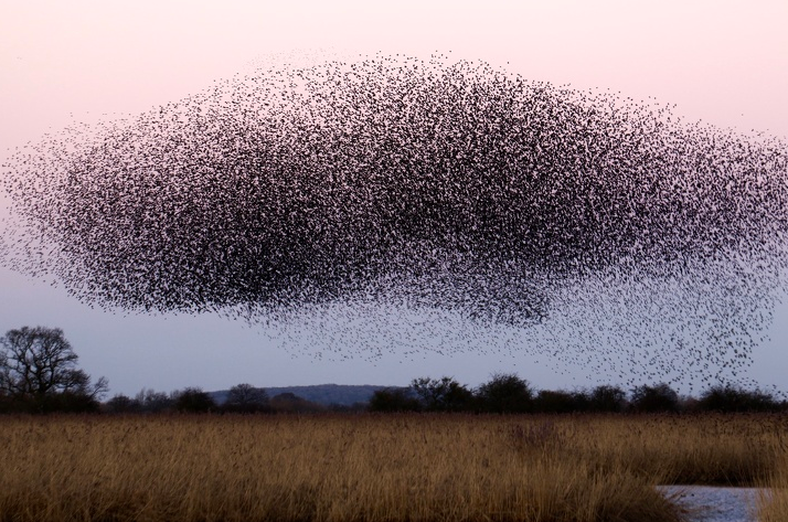"Hiện tượng lạ" trên bầu trời Otmoor, Anh.