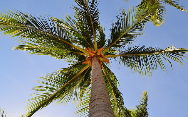 Quần đảo Cocos, cách thành phố Perth (Australia) khoảng 2.700 km, có dân số khoảng 600 người. Mặc dù nằm ở vị trí "cô lập" nhưng quần đảo này vẫn đang phát triển du lịch để thu hút khách tham quan.