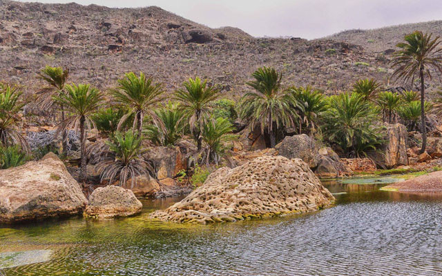 Quần đảo Socotra ở Yemen có khoảng 40.000 cư dân sinh sống, nhưng chỉ có duy nhất một con đường được xây dựng đầu tiên vào năm 2011. Quần đảo này cũng là nơi cư ngụ của 800 loài thực vật quý hiếm với hình thù kỳ lạ, và 1/3 trong số đó không thể sinh sống ở bất cứ nơi nào khác trên Trái đất.